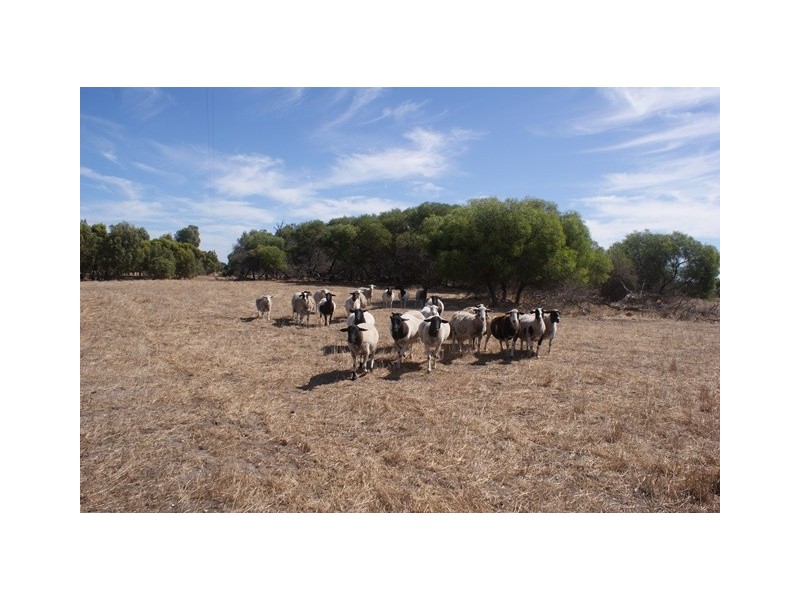 118 Acacia Road, Yardarino WA 6525