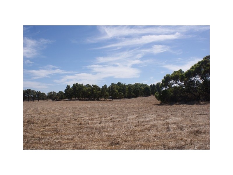 118 Acacia Road, Yardarino WA 6525