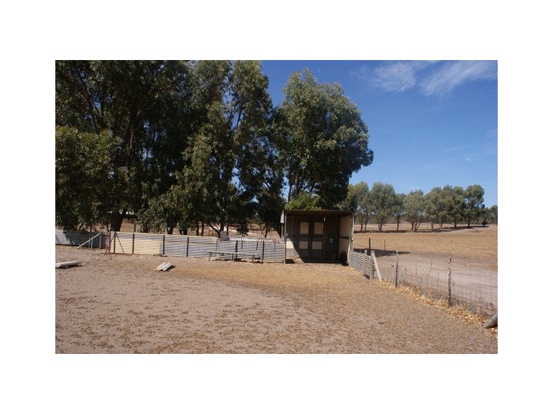 118 Acacia Road, Yardarino WA 6525