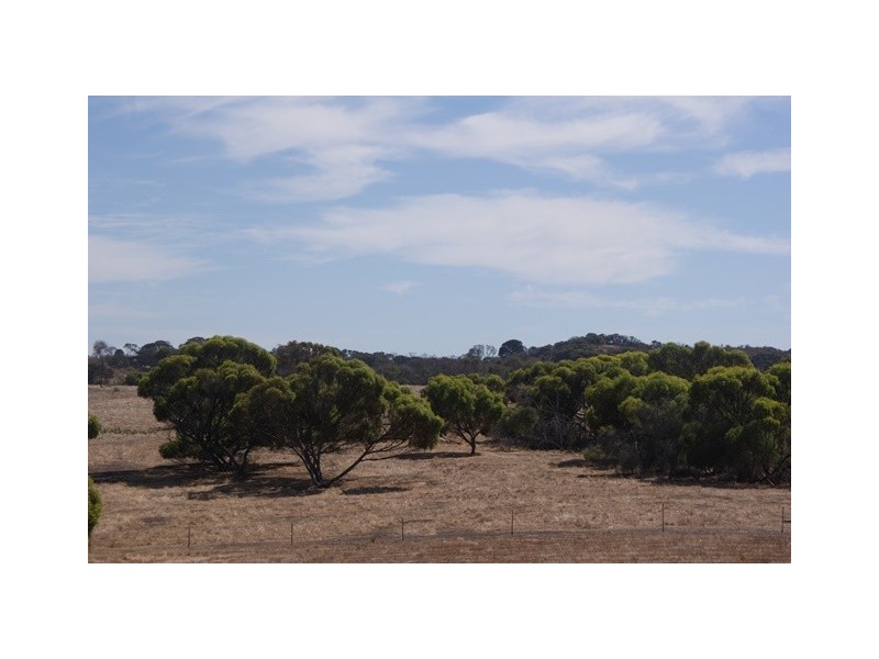 118 Acacia Road, Yardarino WA 6525