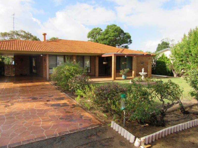 17 Slaughter Street, Three Springs WA 6519