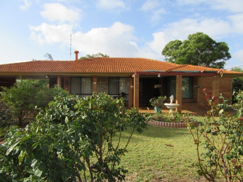 17 Slaughter Street, Three Springs WA 6519