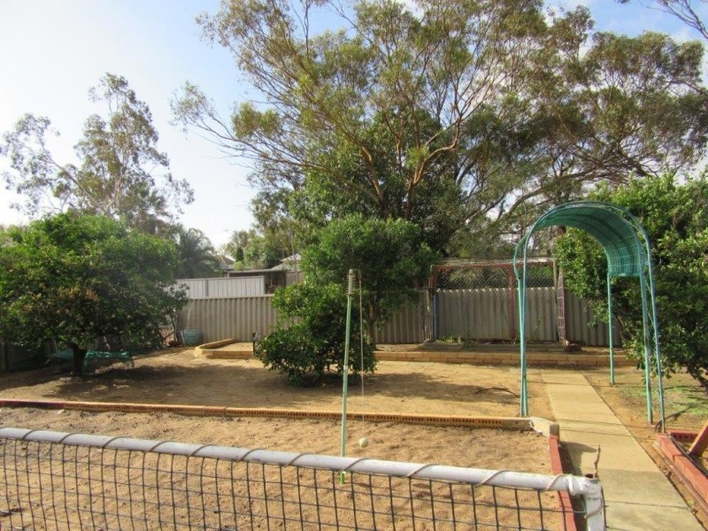 17 Slaughter Street, Three Springs WA 6519