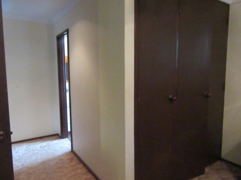 17 Slaughter Street, Three Springs WA 6519