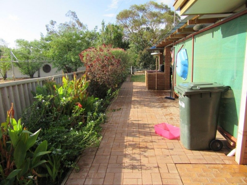 17 Slaughter Street, Three Springs WA 6519