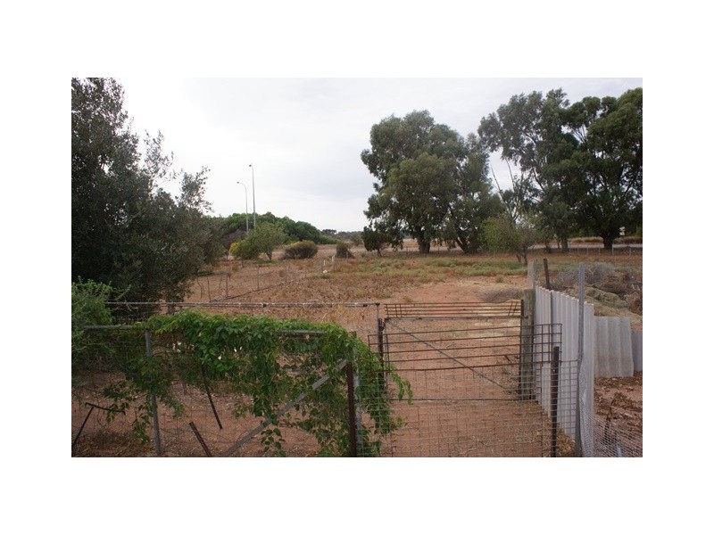 92 Tulloch Drive, Dongara WA 6525