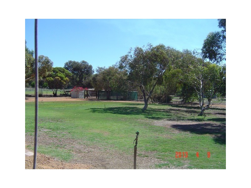 14 Massingham Place, Dongara WA 6525