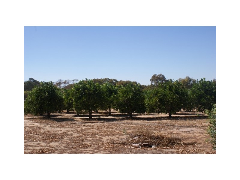 26742 Midlands Road, Irwin WA 6525