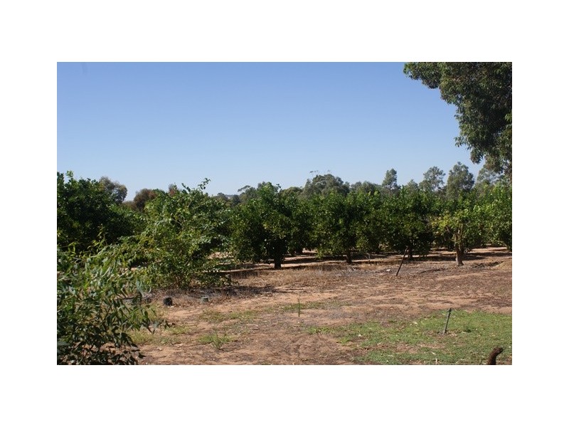 26742 Midlands Road, Irwin WA 6525