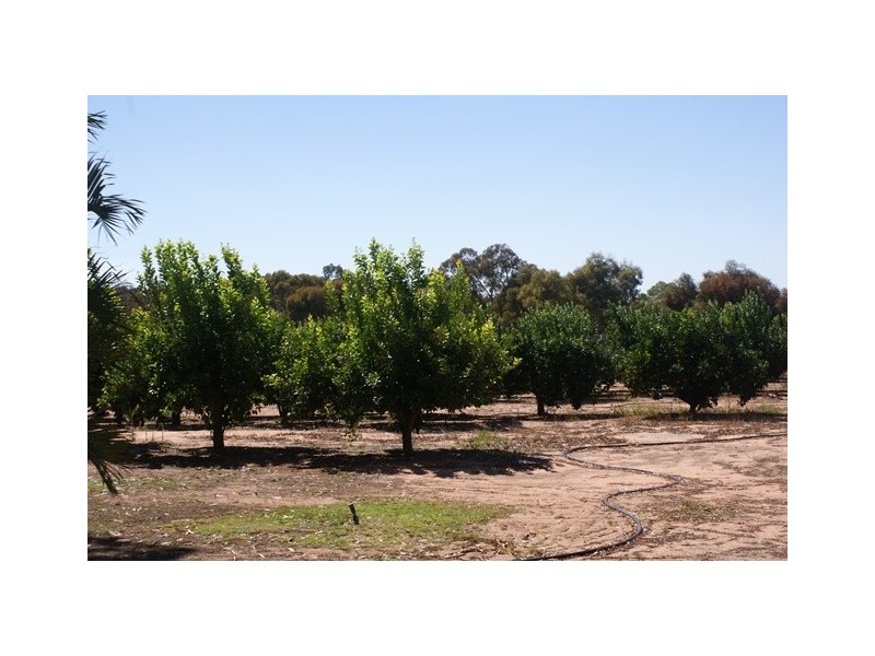 26742 Midlands Road, Irwin WA 6525