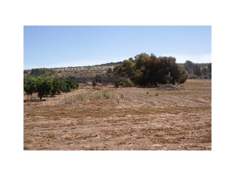 26742 Midlands Road, Irwin WA 6525