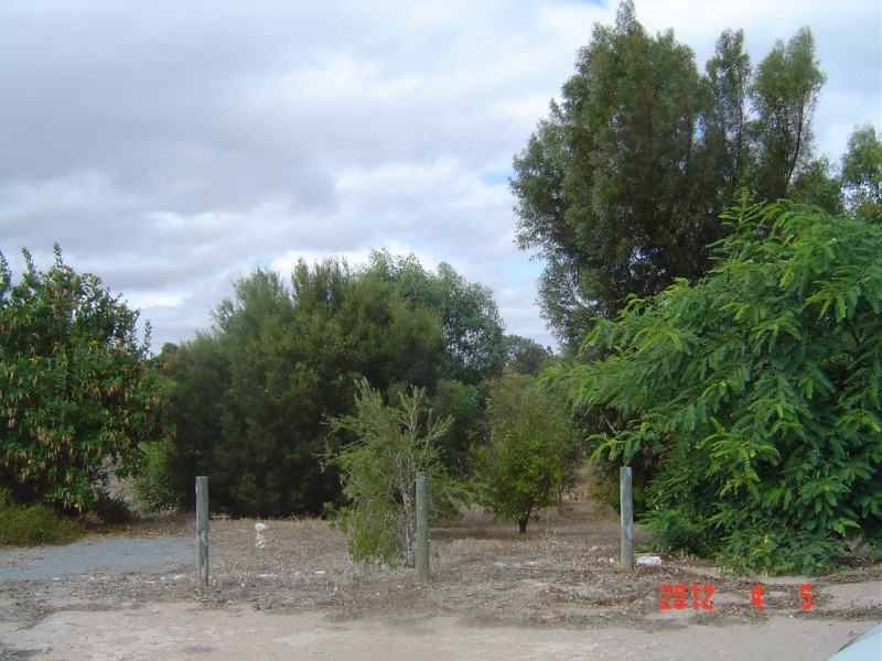 25 Honey Myrtle Close, Springfield WA 6525