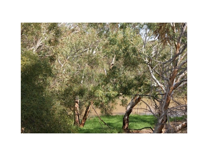 8 Hunts Road, Dongara WA 6525