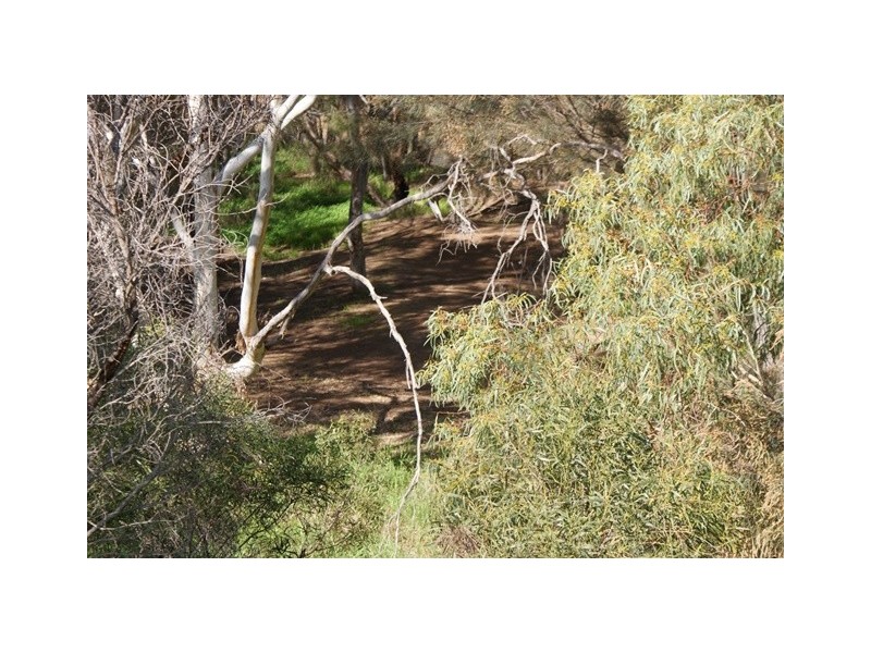 8 Hunts Road, Dongara WA 6525