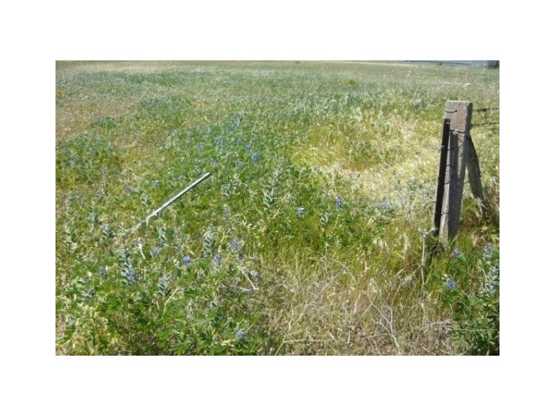 Lot 2972 Water Supply Road, Dongara WA 6525