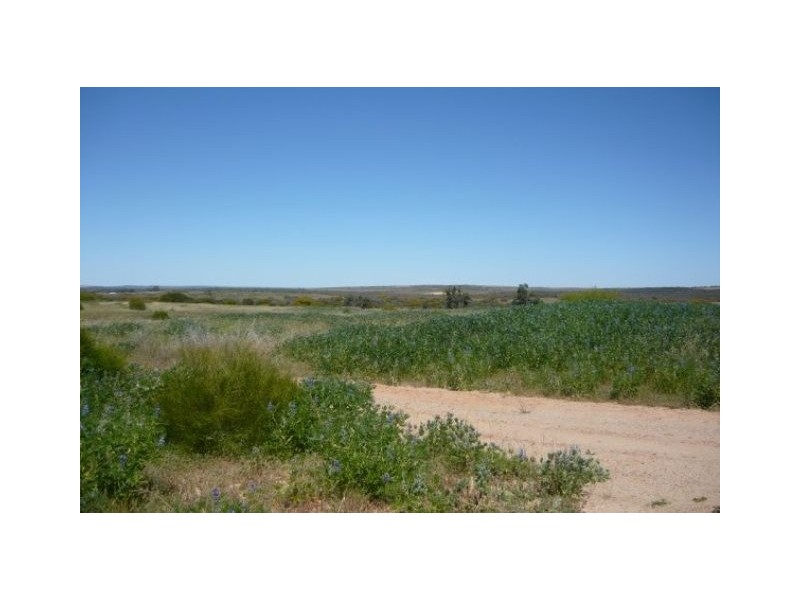 Lot 2972 Water Supply Road, Dongara WA 6525
