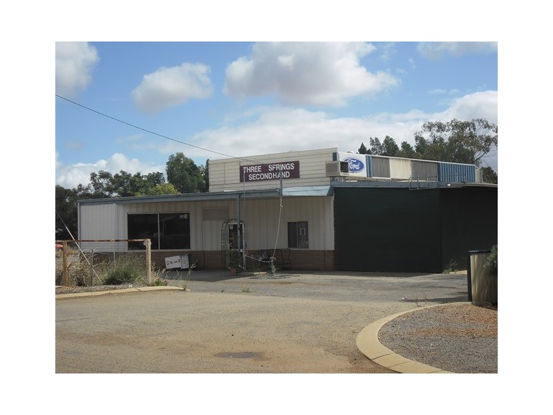 28 Christie Street, Three Springs WA 6519