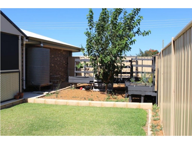 36 Dodd Street, Dongara WA 6525