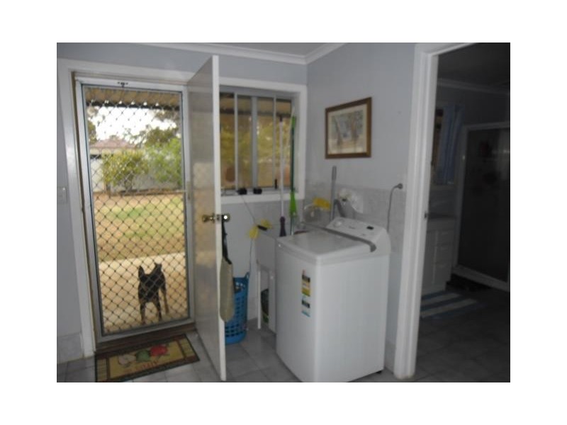 15 Slaughter Street, Three Springs WA 6519