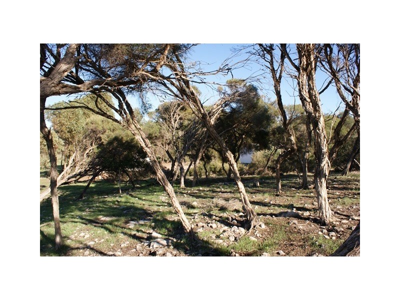 180 Melaleuca Road, Bonniefield WA 6525