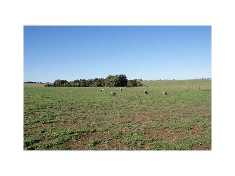 180 Melaleuca Road, Bonniefield WA 6525