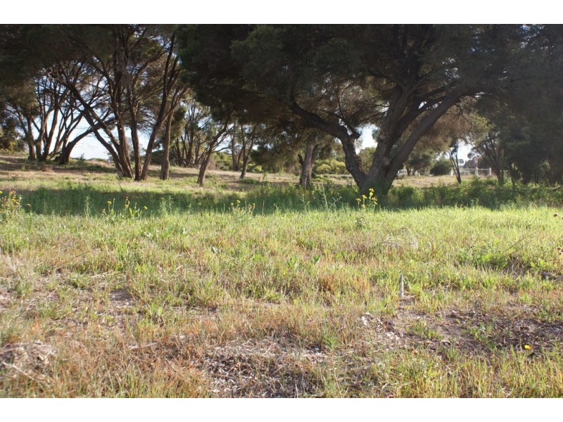 260 Springfield Drive, Springfield WA 6525