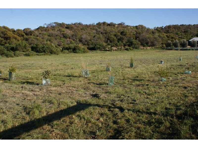 133 Brennand Road, Dongara WA 6525