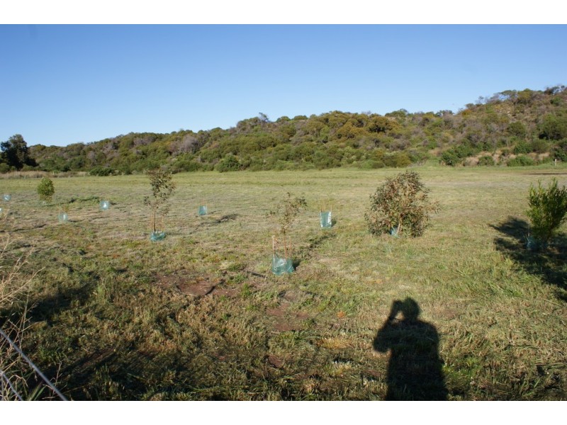 133 Brennand Road, Dongara WA 6525