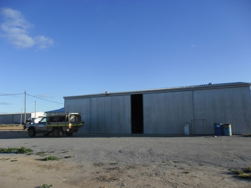 10 Forrester Ave, Carnamah WA 6517