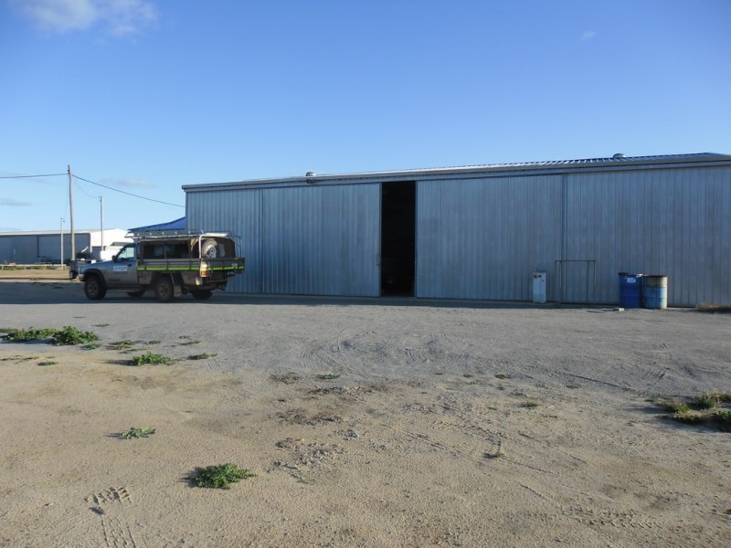 10 Forrester Ave, Carnamah WA 6517