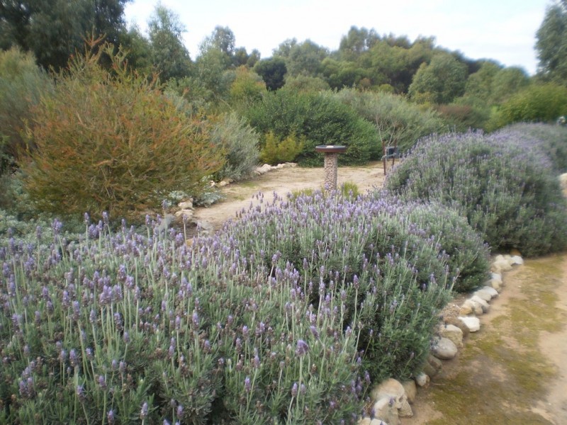 32 Honey Myrtle Close, Springfield WA 6525