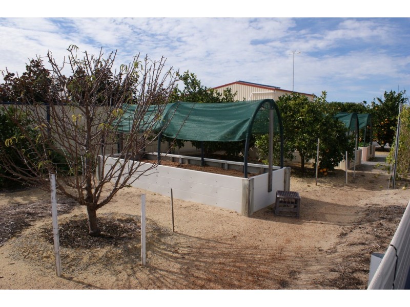 3 Bayliss Road, Dongara WA 6525