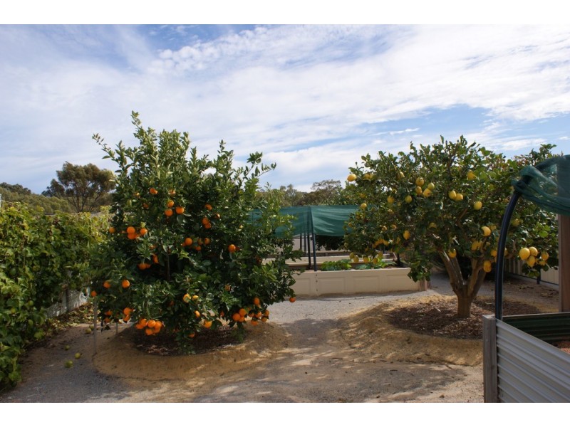 3 Bayliss Road, Dongara WA 6525