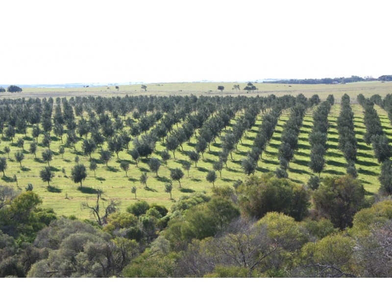 Lot 2 Seven Mile Beach Road, Dongara WA 6525