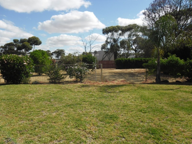 88 Williamson Street, Three Springs WA 6519