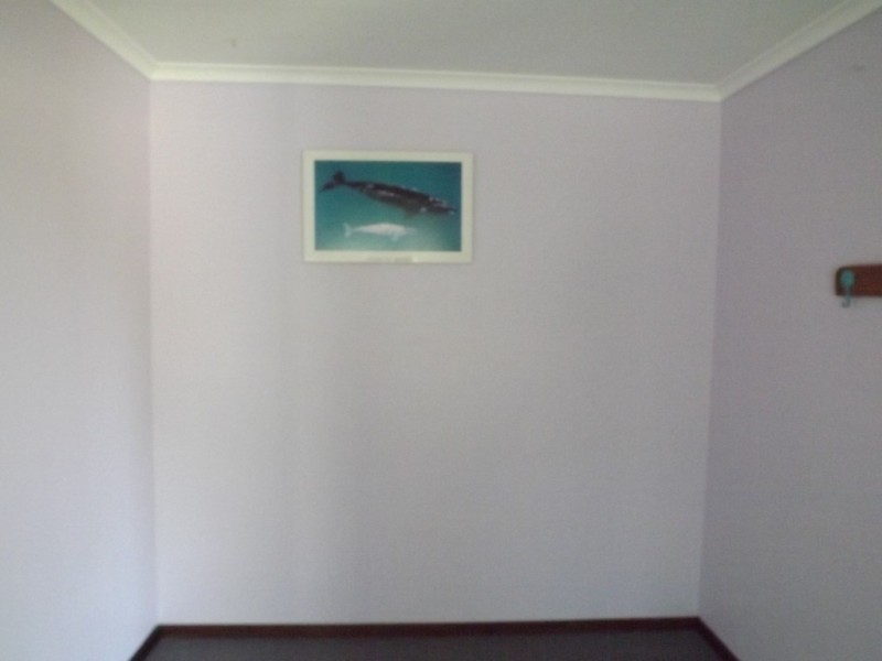 33 FLANAGAN WAY, Dongara WA 6525