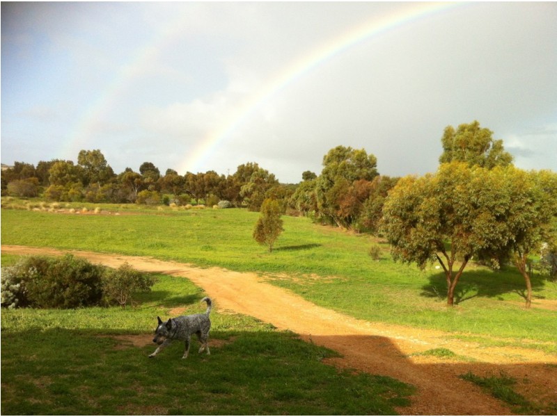 184 St Dominics Road, Port Denison WA 6525