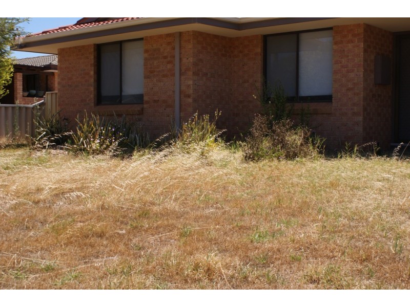 5 Delmage Street, Dongara WA 6525