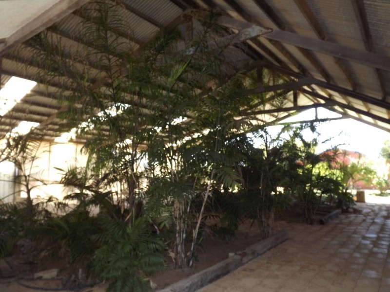 56 Petit Lane, Dongara WA 6525