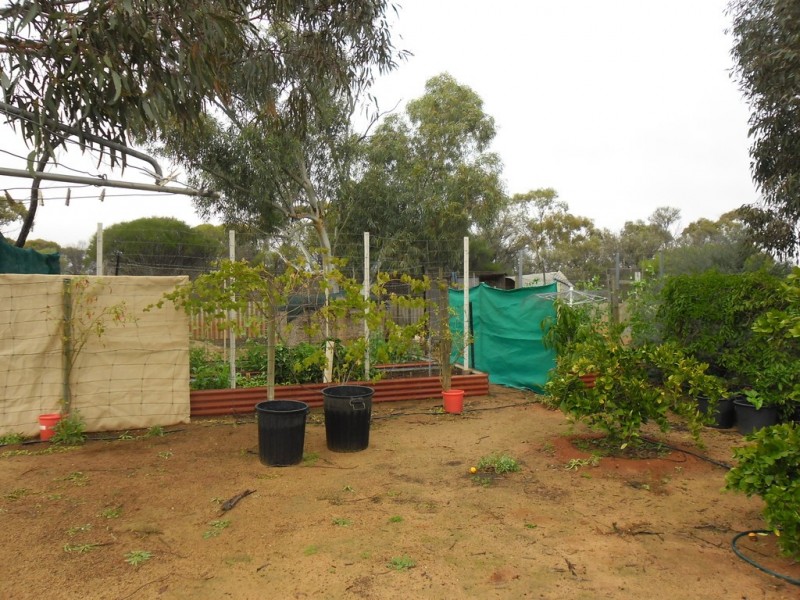 15 Richards Street, Latham WA 6616