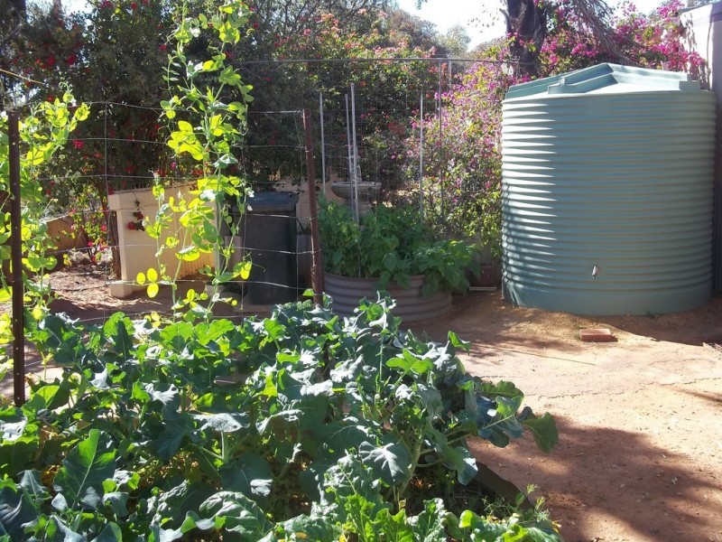 15 Richards Street, Latham WA 6616