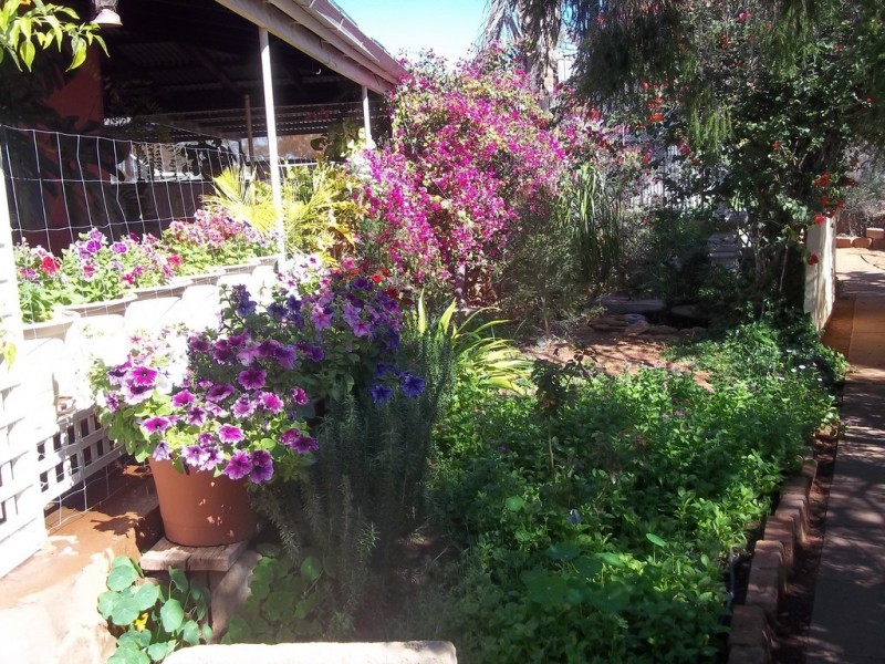 15 Richards Street, Latham WA 6616