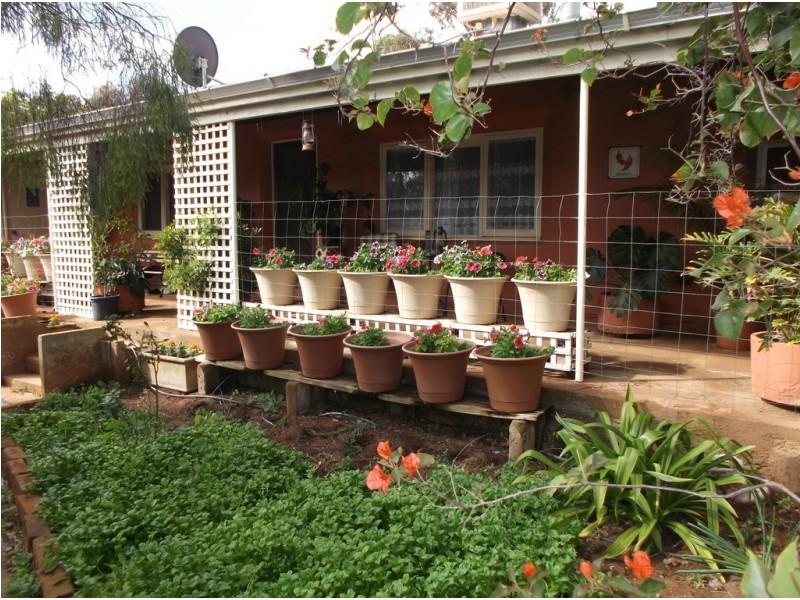 15 Richards Street, Latham WA 6616