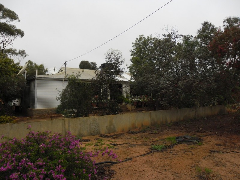 15 Richards Street, Latham WA 6616