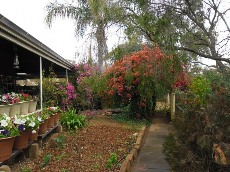 15 Richards Street, Latham WA 6616