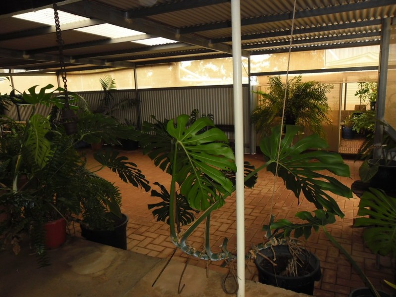 15 Richards Street, Latham WA 6616