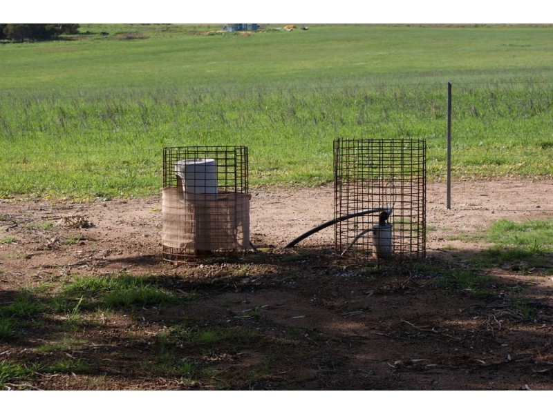 170 Padbury Road, Bookara WA 6525