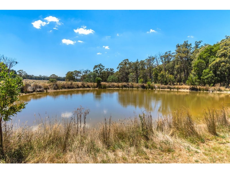 1 Kelletts Track, Ashbourne VIC 3442