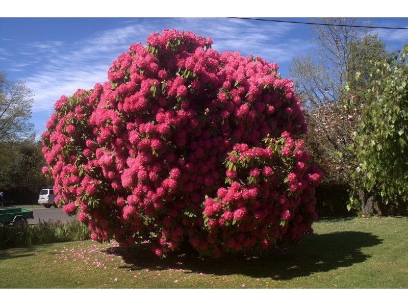 50 Urquhart Street, Woodend VIC 3442