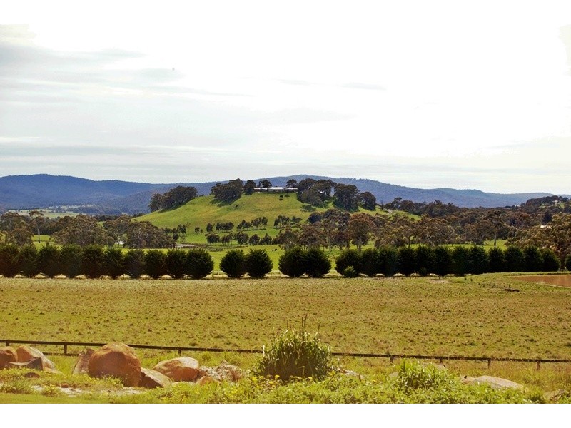 51 Bolgers Lane, Newham VIC 3442